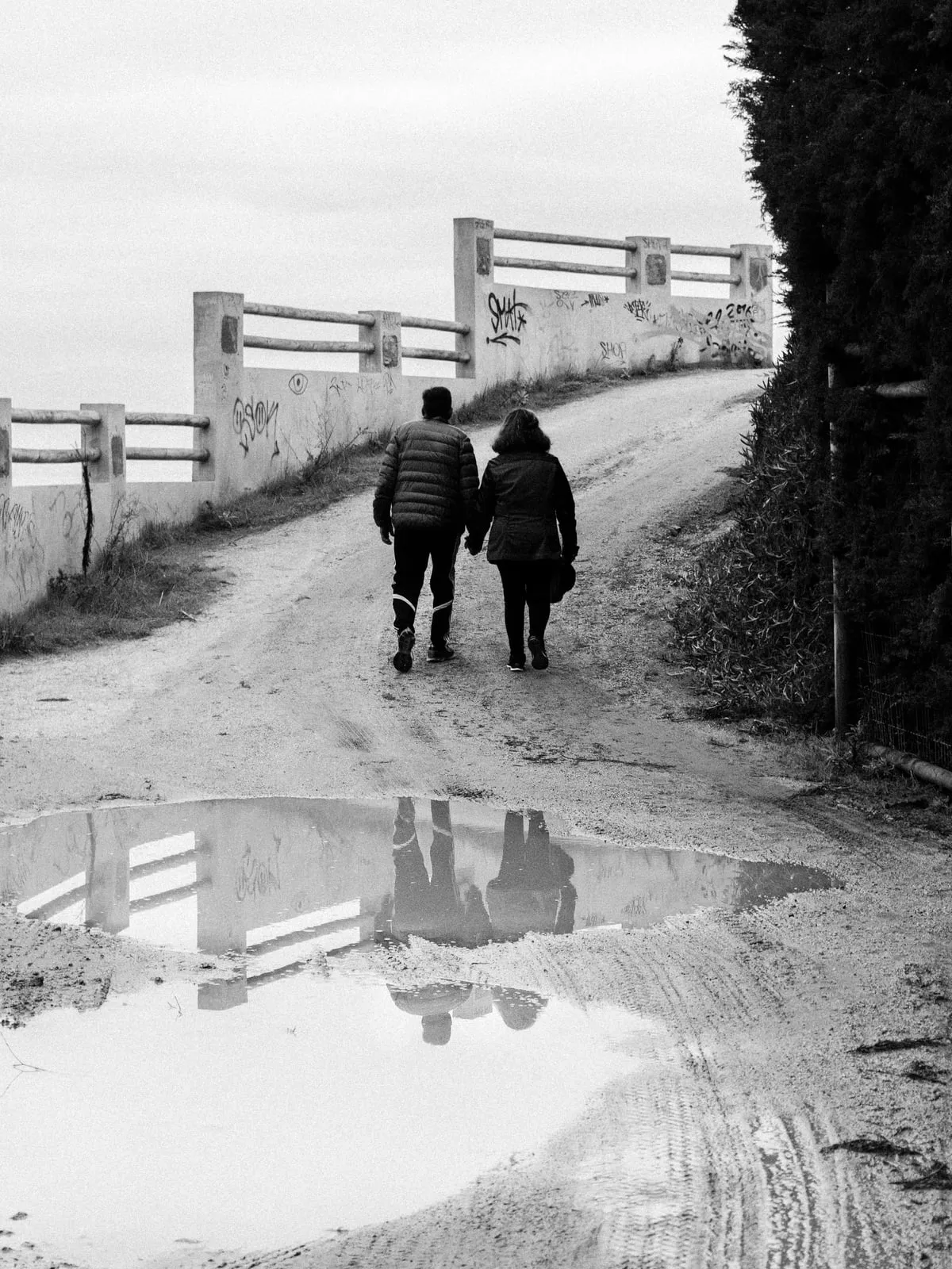 Reflejo roto
